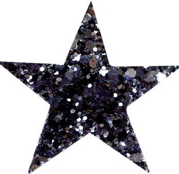 STARLIGHT coarse grained glitter hair clip Black.jpg